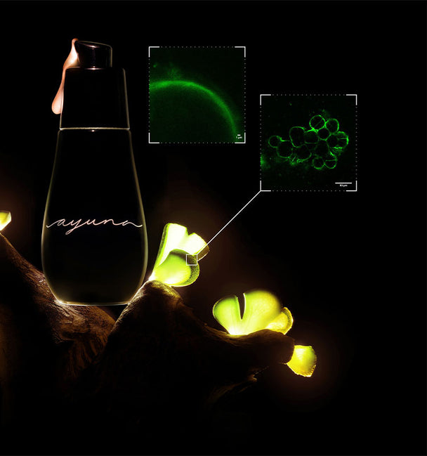 Ingredient image