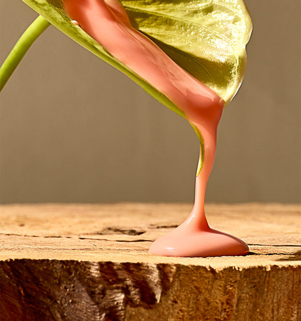 Ingredient image