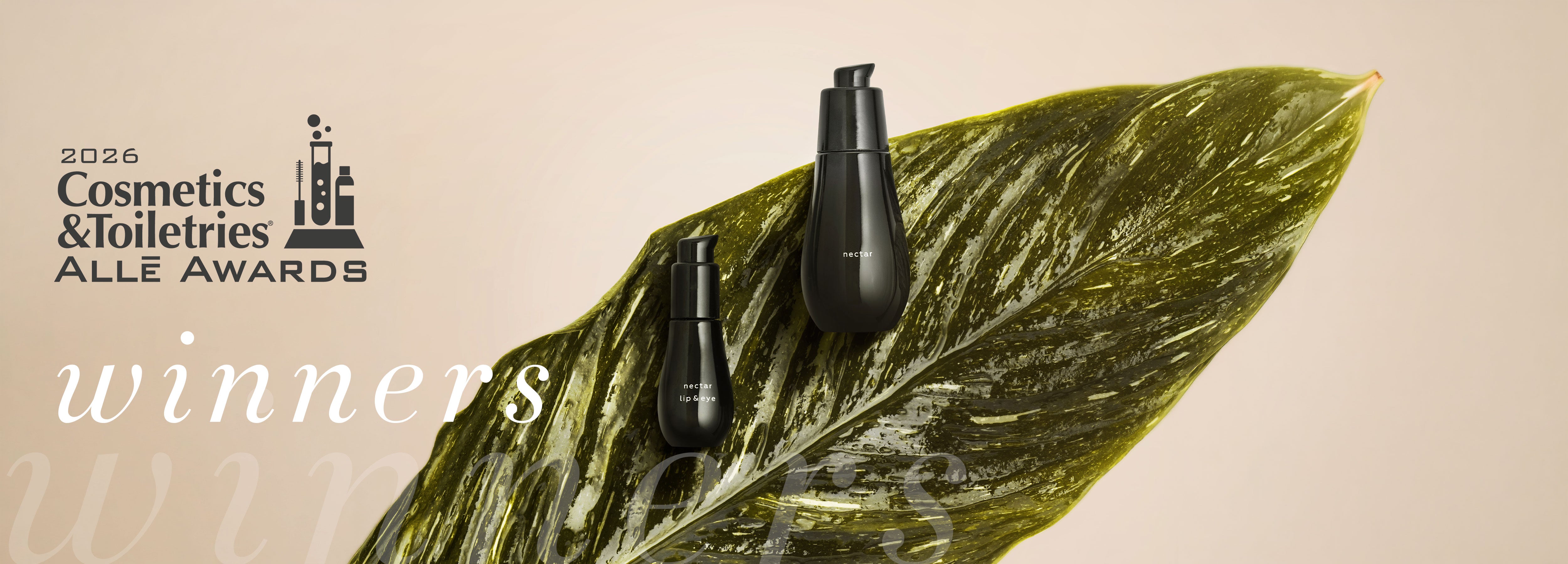 Ayuna · Less is Beauty