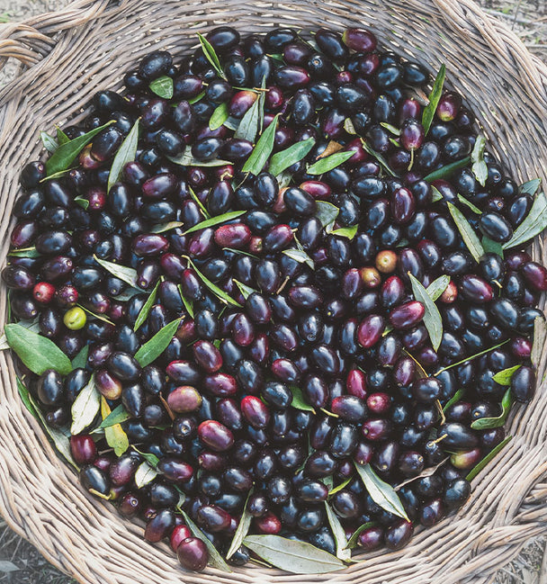Ingredient image