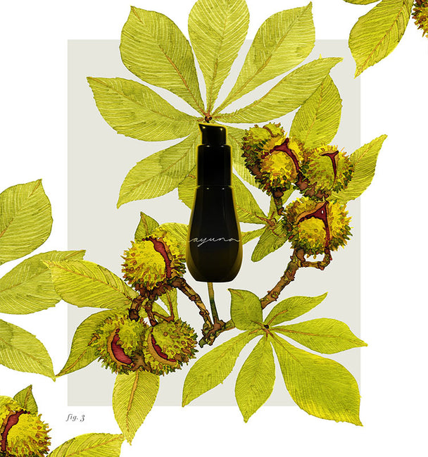 Ingredient image