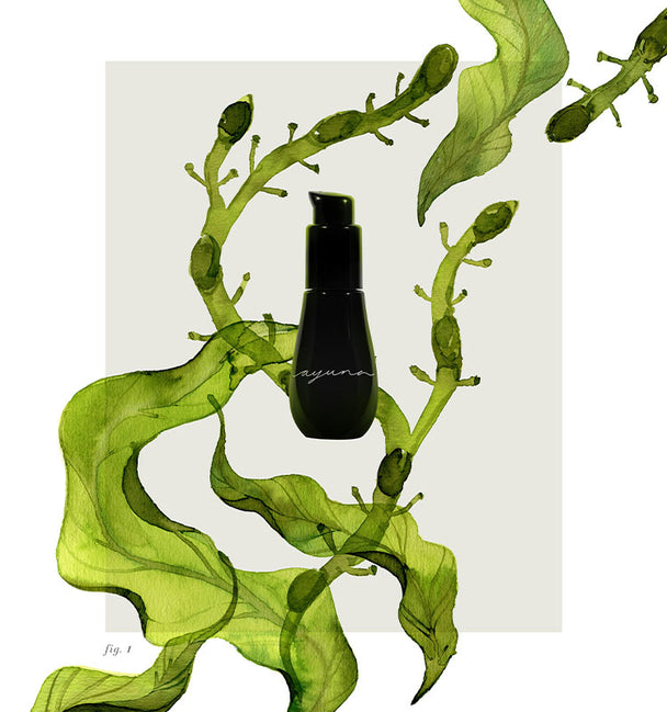 Ingredient image