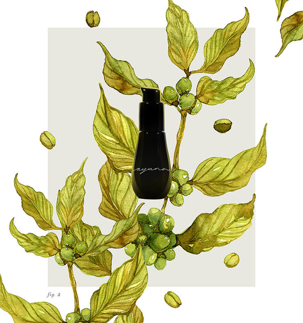 Ingredient image