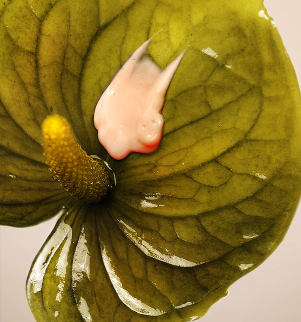 Ingredient image