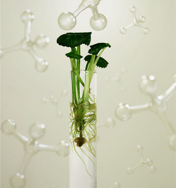 Ingredient image