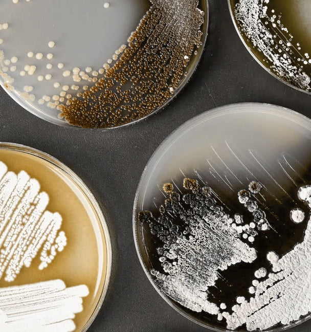 Ingredient image