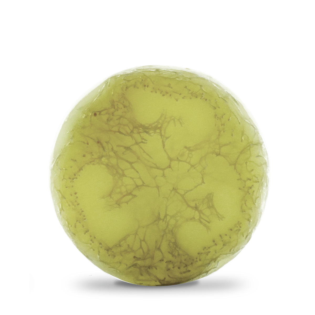 spirulite